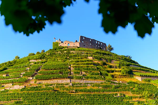 Staufener Burg auf dem Schlossberg